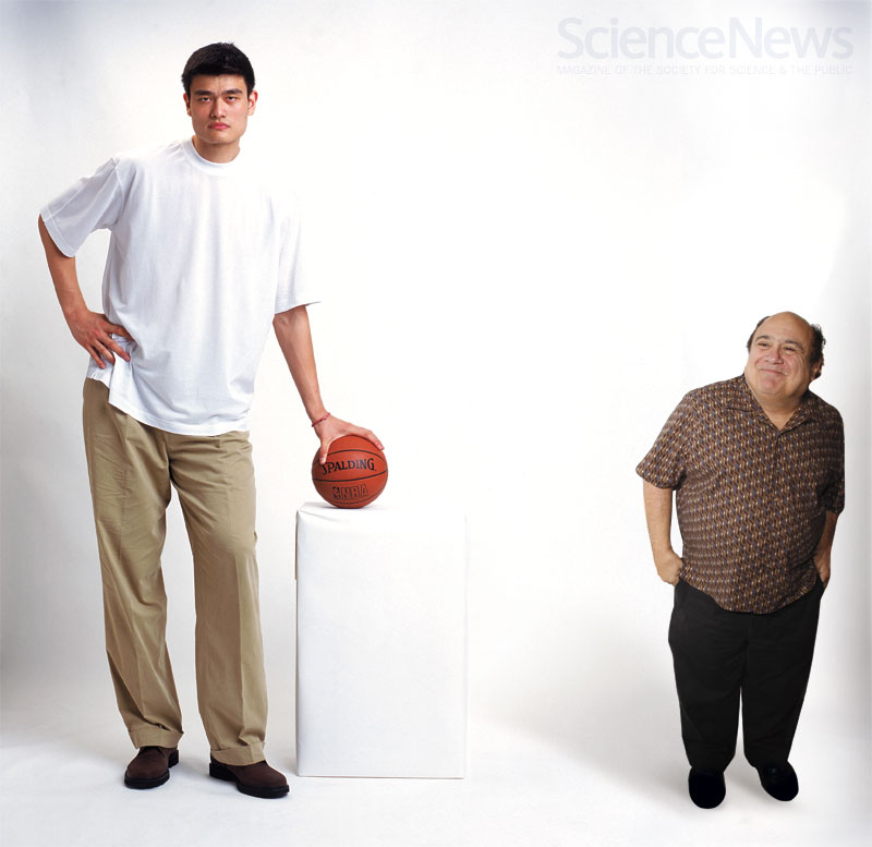 Толстый худой длинный. Высокий и низкий человек. Люди разного роста. Человек невысокого роста. Человек небольшого роста.